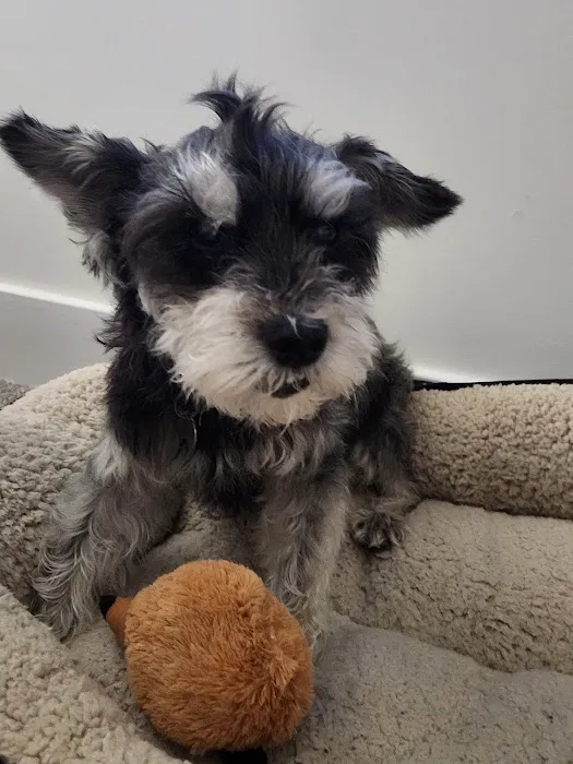 Madden Animal Hospital Picture 4