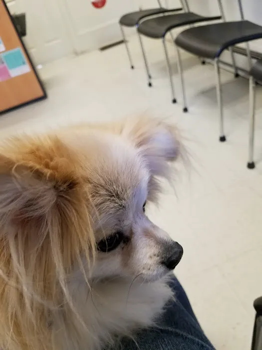 Madden Animal Hospital Picture 6