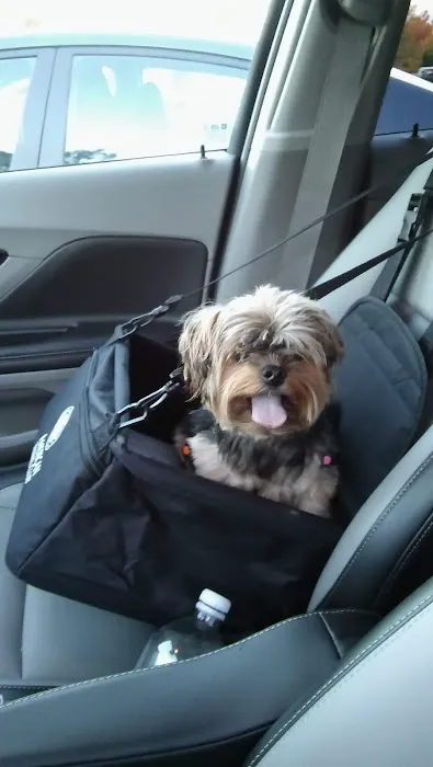 Madden Animal Hospital Picture 7