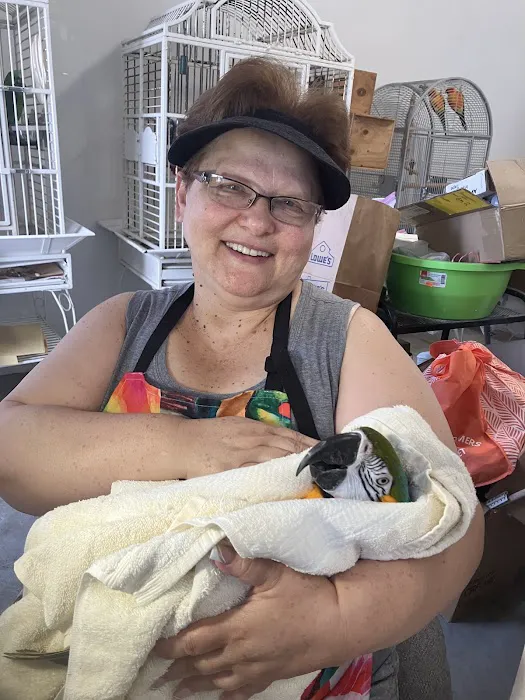 Parrot Haven Picture 7