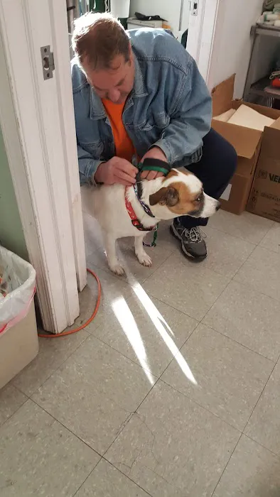 Conshohocken Veterinary Hospital Picture 8