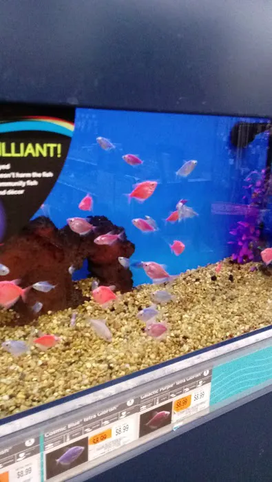 Petco Picture 3