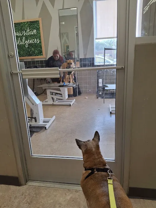 Petco Picture 5