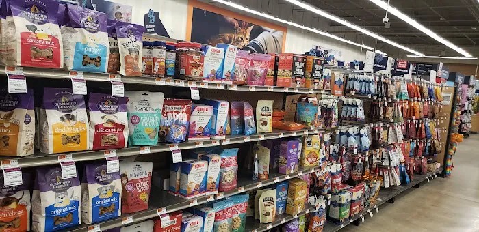 Petco Picture 4
