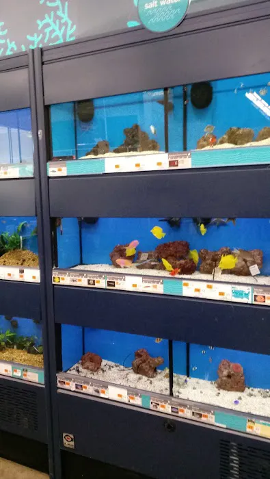 Petco Picture 9