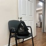 Paws Pet Clinic
