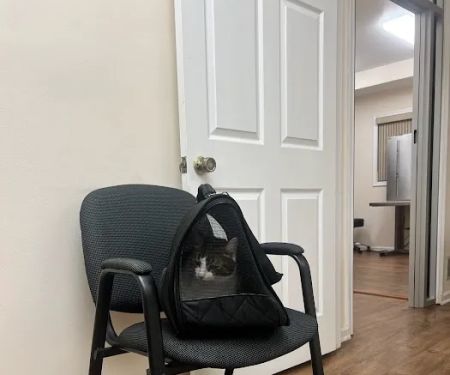 Paws Pet Clinic