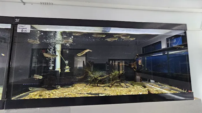 Global Fish Co. Picture 1