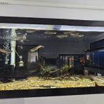 Global Fish Co.
