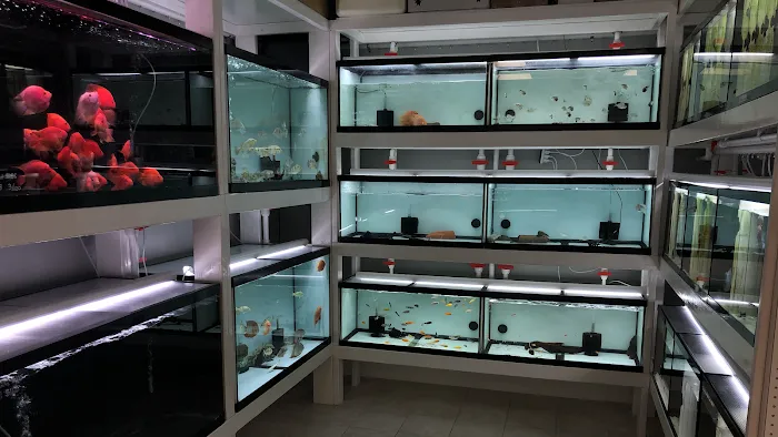 Global Fish Co. Picture 3