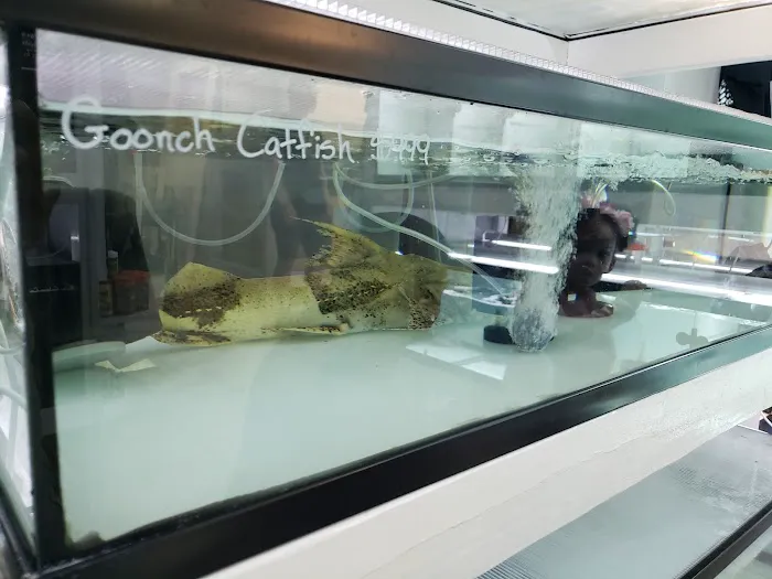 Global Fish Co. Picture 4