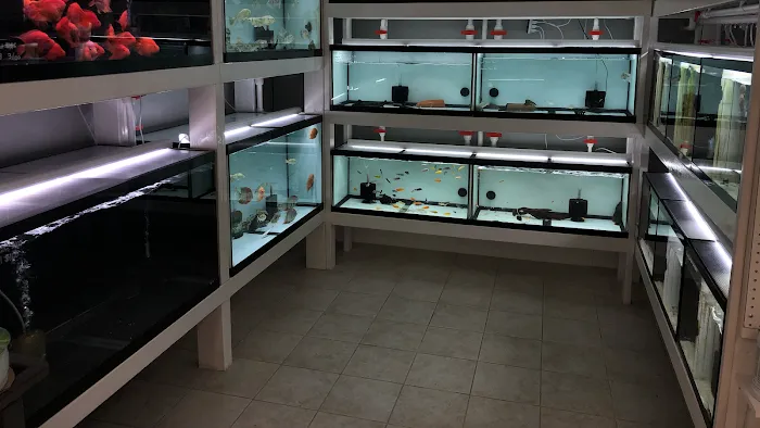 Global Fish Co. Picture 5