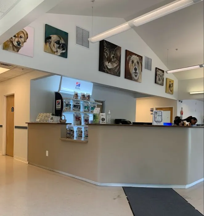 Hickory Veterinary and Specialty Hospital Picture 5
