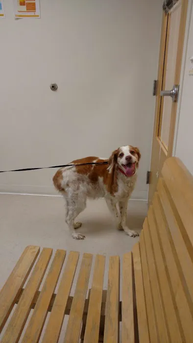 Hickory Veterinary and Specialty Hospital Picture 10