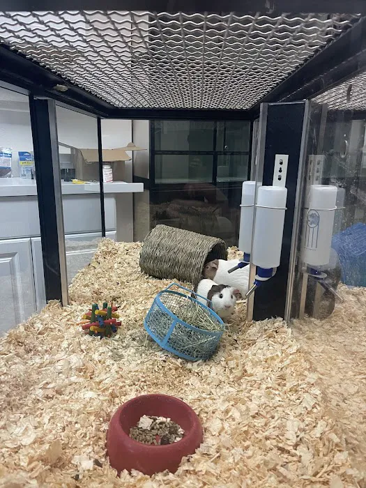 BM Exotic Pets Picture 7