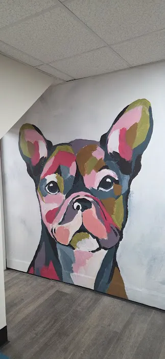 Petdoc Urgent Care Picture 5