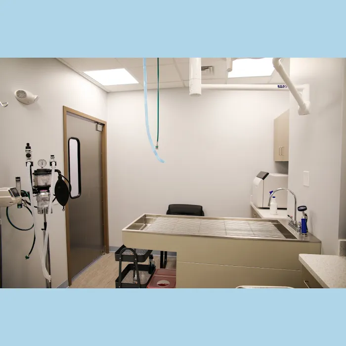 Family Pet Clinic Horsham Picture 4