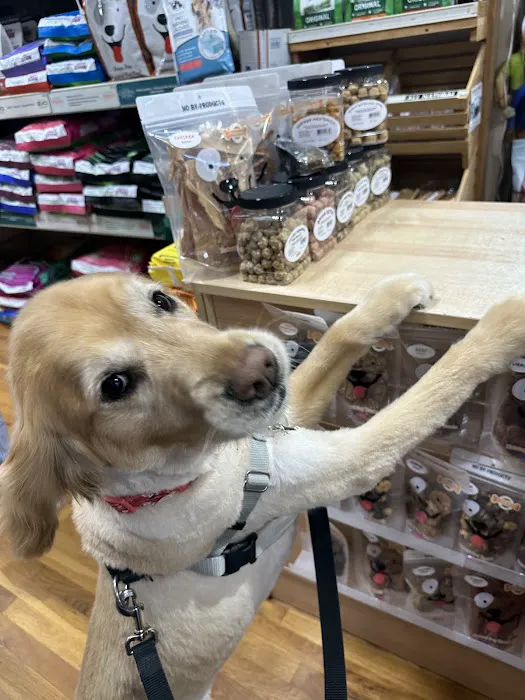 Pets Boutique Picture 4