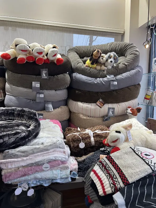 Pets Boutique Picture 8