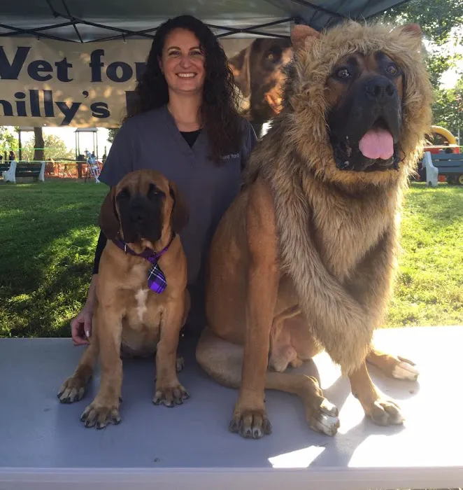 York Road Veterinary Hospital Inc. Picture 3