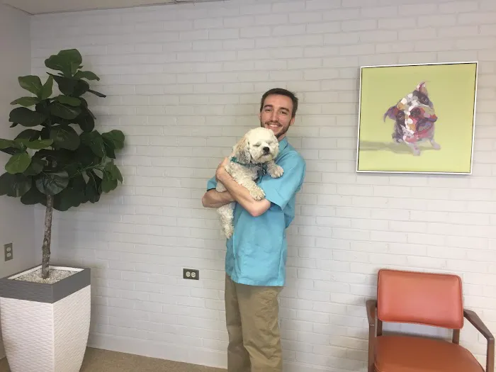 York Road Veterinary Hospital Inc. Picture 6