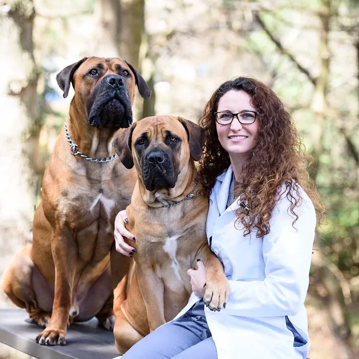 York Road Veterinary Hospital Inc. Picture 5
