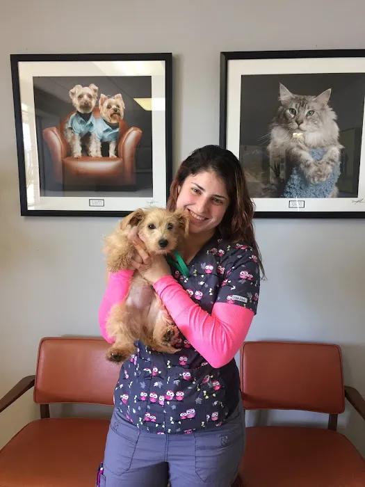 York Road Veterinary Hospital Inc. Picture 4