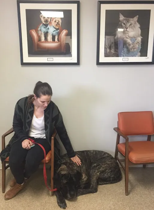 York Road Veterinary Hospital Inc. Picture 8