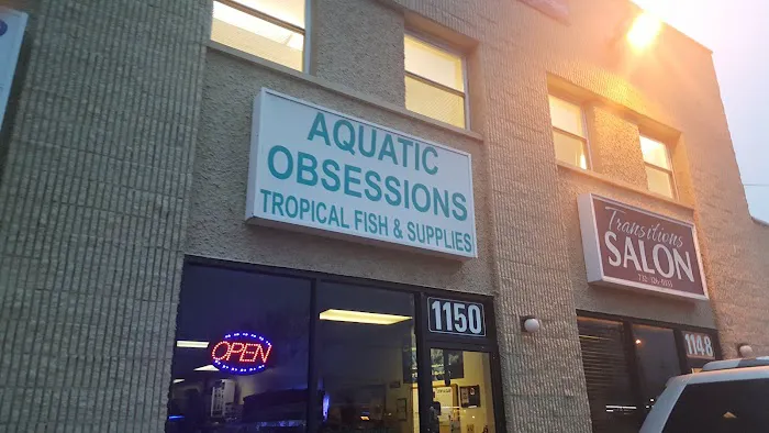 Aquatic Obsessions Picture 1