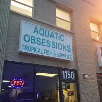 Aquatic Obsessions ico