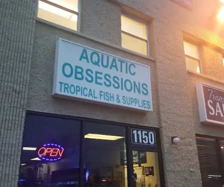 Aquatic Obsessions