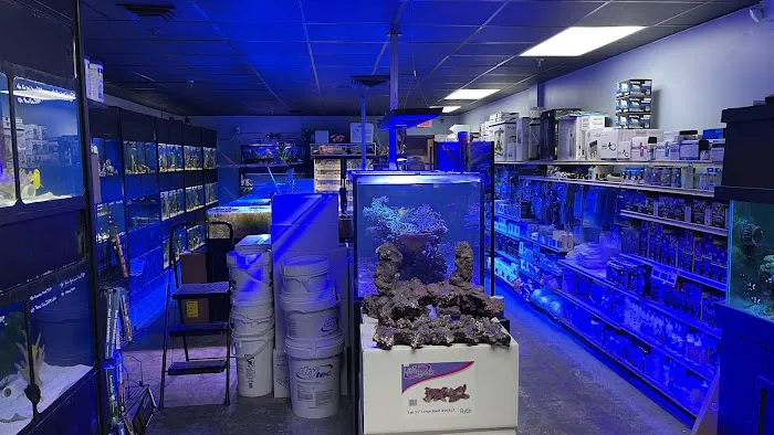 Aquatic Obsessions Picture 2