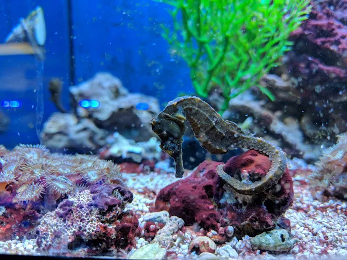 Aquatic Obsessions Picture 7