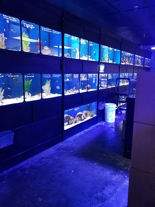 Aquatic Obsessions Picture 8