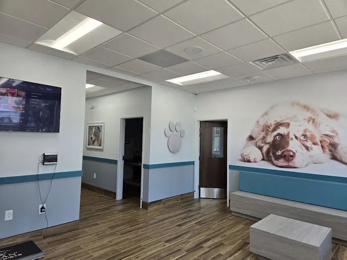 County Line Veterinary Hospital Picture 3