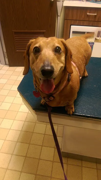 Warminster Veterinary Hospital Picture 4