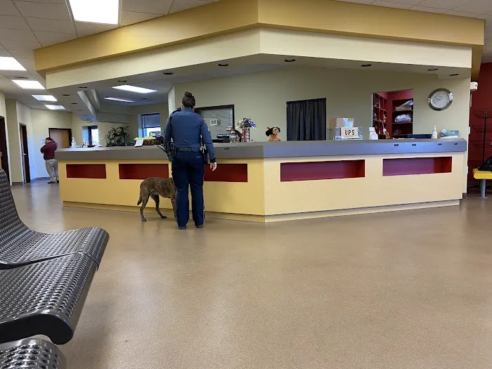 Horsham Veterinary Hospital Picture 2