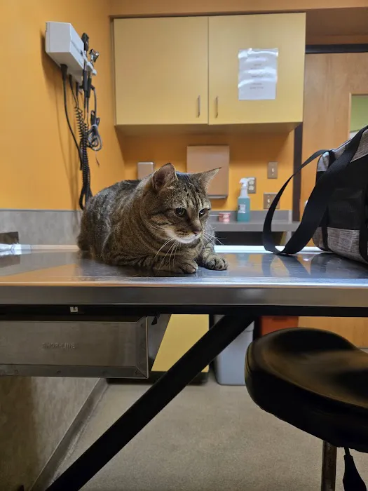 Horsham Veterinary Hospital Picture 6