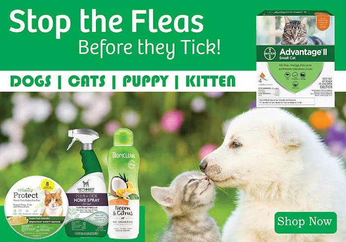 Pet Life Picture 2