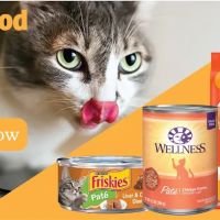Pet Life ico