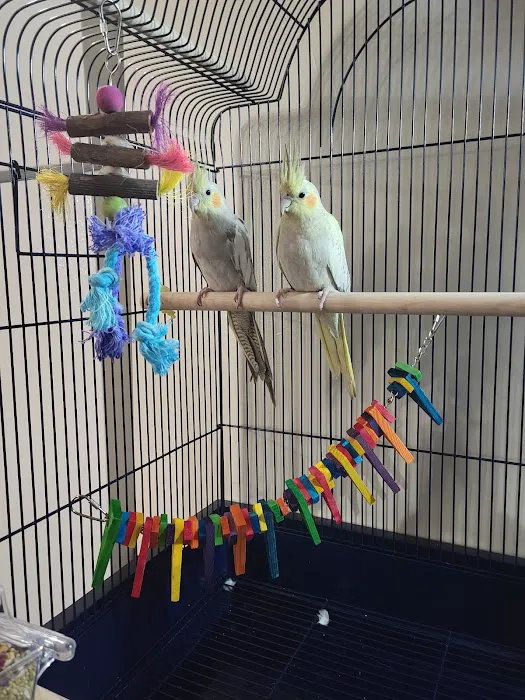Petco Picture 4