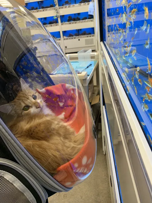 Petco Picture 3