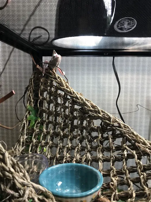 Petco Picture 5