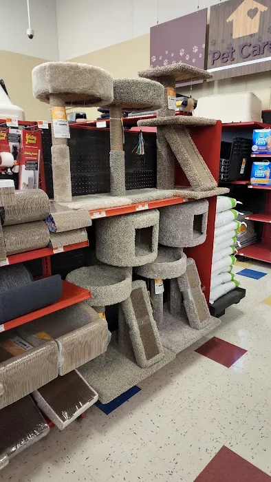 Petco Picture 7