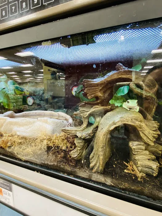 Petco Picture 2