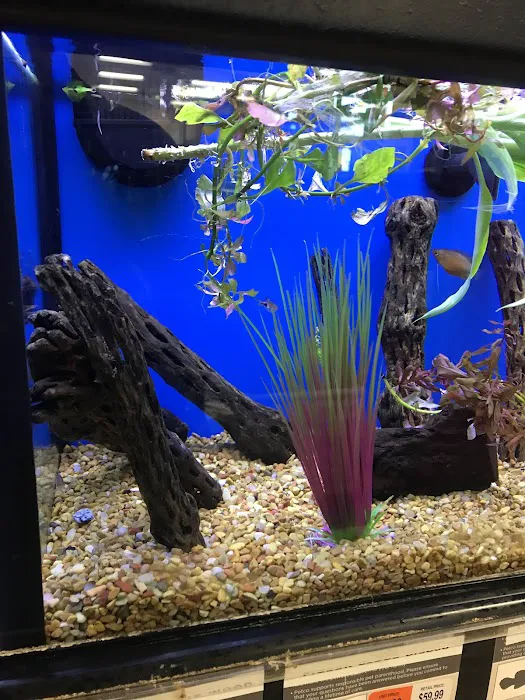 Petco Picture 9
