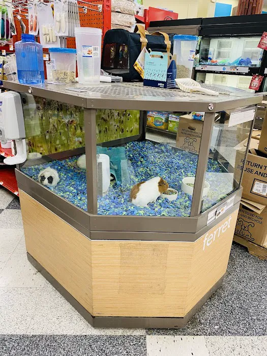 Petco Picture 8