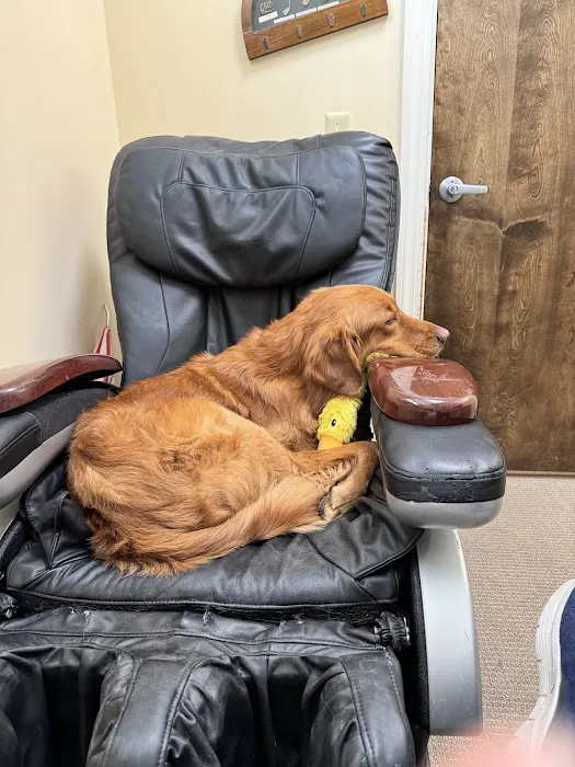 Spring House Animal Hospital Picture 8