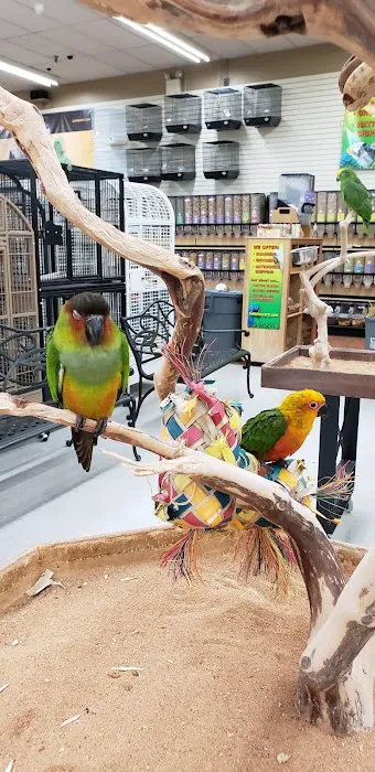 Animal & Bird Health Care Center & Hospital Picture 3
