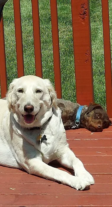 Banfield Pet Hospital Picture 6
